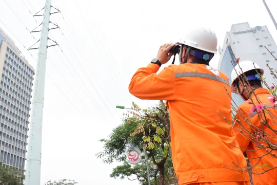 EVNHANOI lập phương án đảm bảo cấp điện ổn định cho nhân dân đón Tết Ất Tỵ 2025