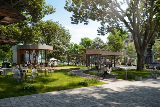 Chuyên gia nước ngoài, digital nomad và nhu cầu coworking space tại Nghệ An