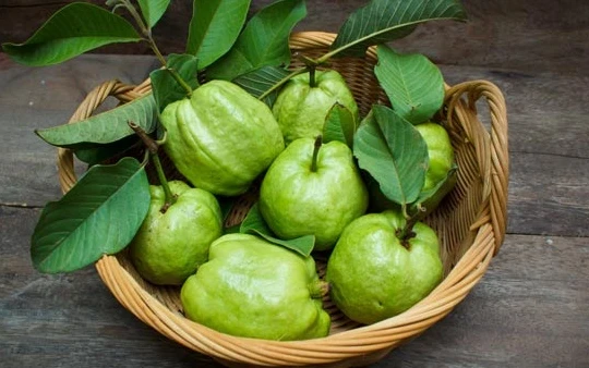 Những quả ổi tươi ngon mang đến nhiều lợi ích cho sức khỏe. Ảnh: Boldsky