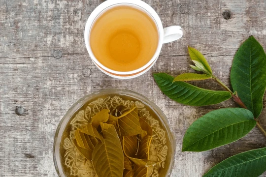 Bất ngờ với công dụng của lá ổi. Ảnh: Boldsky