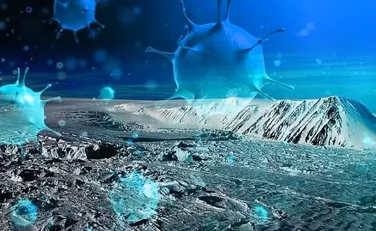Cảnh báo nguy cơ virus cổ xưa hồi sinh do băng tan. Ảnh: Internet
