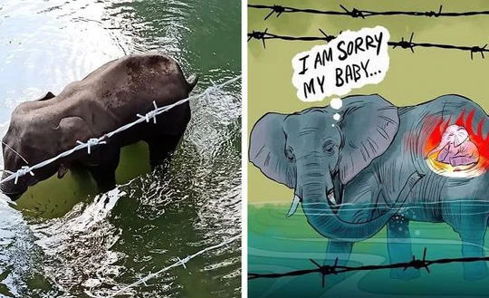 Nhức nhối chuyện bảo vệ động vật hoang dã, vật nuôi trong nhà. Ảnh: Internet