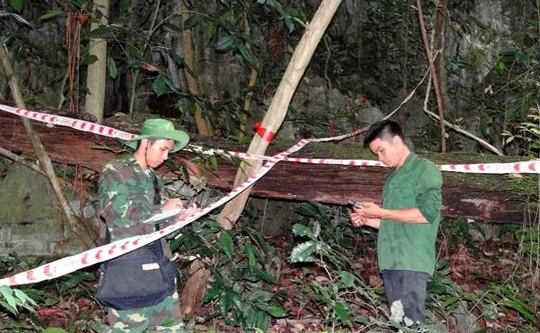 Cán bộ lâm nghiệp lập ô điều tra, sử dụng máy GPS. Ảnh: TTXVN