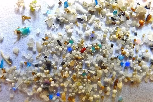 Vi hạt nhựa trong lõi băng ở Nam Cực. Ảnh: Internet