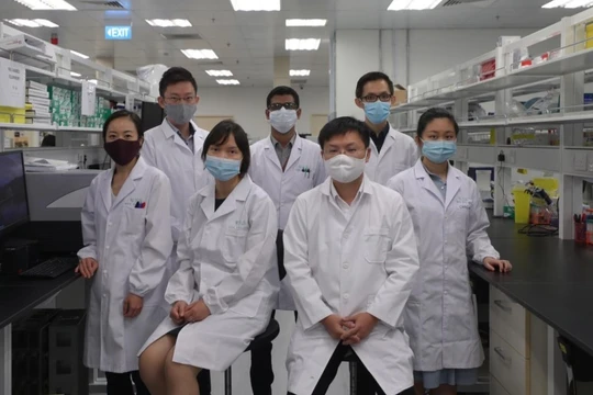 Nhóm nghiên cứu của Carmine Therapeutics với dự án đột phá. Ảnh: Timothy David/Straits Times.