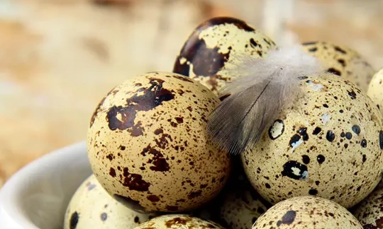 Trứng cút chứa nguồn dinh dưỡng tuyệt vời. Ảnh: Stylecraze