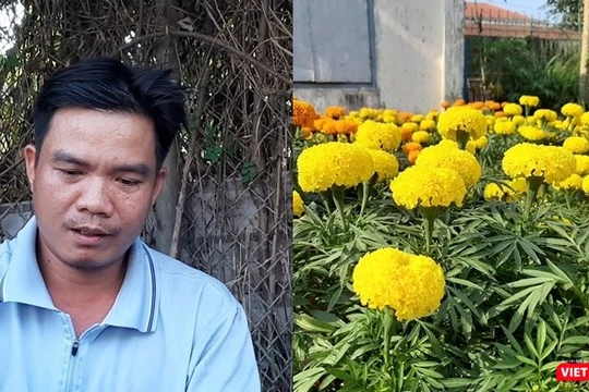 Vợ đột quỵ qua đời, chồng nuốt nước mắt bán hết số hoa cuối cùng và tình người Sài Gòn.