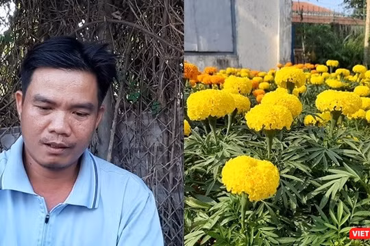 Vợ đột quỵ qua đời, chồng nuốt nước mắt bán hết số hoa cuối cùng và tình người Sài Gòn.