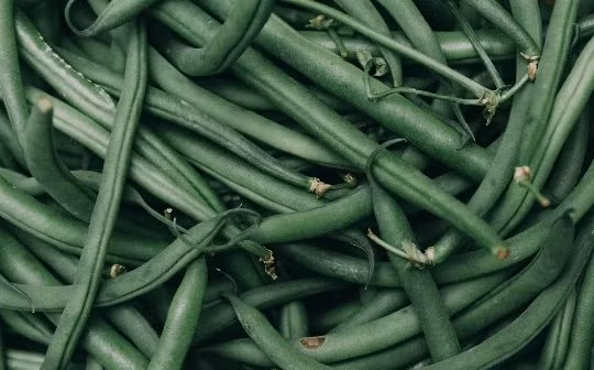 Thường xuyên ăn đậu cô ve, bạn sẽ nhận được nhiều lợi ích tuyệt vời