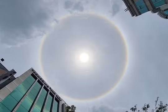 Quầng hào quang tại TP.HCM sáng 16/6. Ảnh: Internet