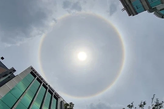 Quầng hào quang tại TP.HCM sáng 16/6. Ảnh: Internet
