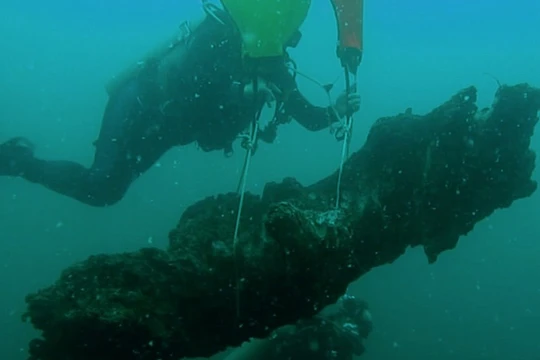 Các nhà khoa học mang những khúc gỗ lên bờ để phân tích. Ảnh: Ben Raines