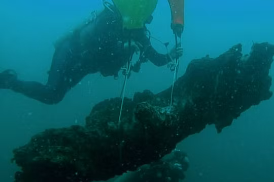 Các nhà khoa học mang những khúc gỗ lên bờ để phân tích. Ảnh: Ben Raines