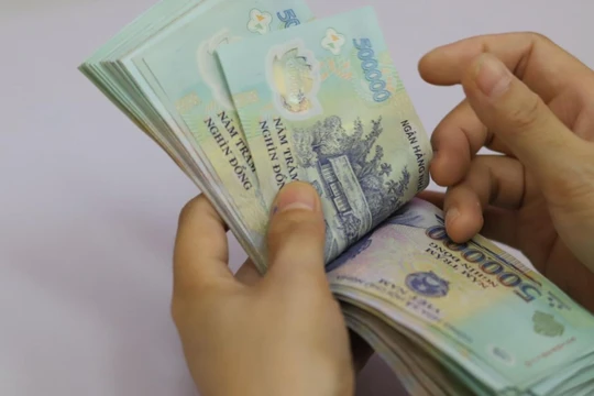 Thép Tiến Lên, Công ty Giống cây trồng Miền Nam bị phạt do vi phạm hành chính về thuế