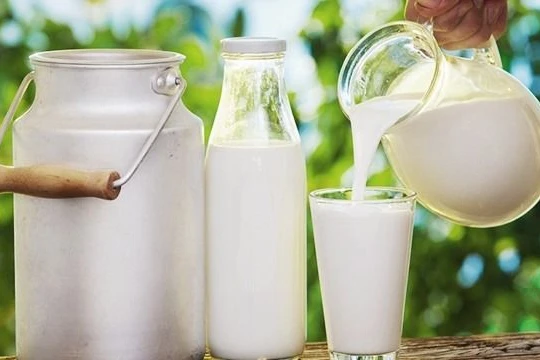 Pha sữa bột rồi tiệt trùng... gọi là "sữa tiệt trùng" khiến người dân khó nhận diện