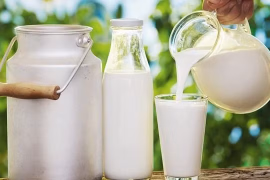 Pha sữa bột rồi tiệt trùng... gọi là "sữa tiệt trùng" khiến người dân khó nhận diện