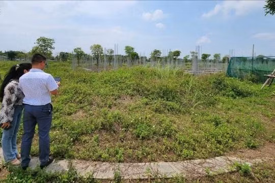 Nhiều nhà đầu tư đã “chốt” mua đất nền sau Tết. Ảnh minh hoạ.