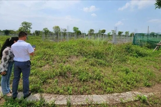 Nhiều nhà đầu tư đã “chốt” mua đất nền sau Tết. Ảnh minh hoạ.