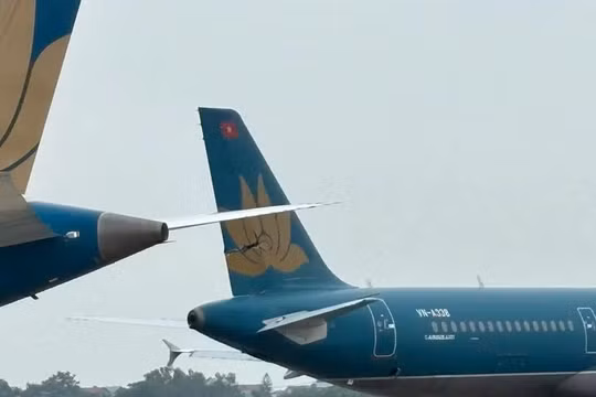 Cục Hàng không lập tổ điều tra vụ hai máy bay va chạm tại Sân bay Nội Bài