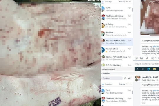Sóc Trăng lập đoàn kiểm tra các điểm chăn nuôi, gồm C.P. Việt Nam sau tố cáo trên Facebook