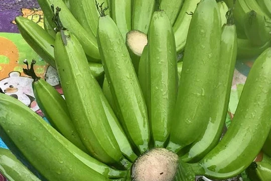 Chợ Tết "hét giá" chuối xanh nửa triệu/nải, hàng miền Nam giá rẻ ra tiếp ứng gấp