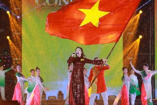 Concert “Việt Nam trong tôi” quyên góp 4,2 tỷ đồng ủng hộ người dân miền Trung