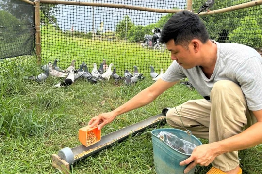 800 cánh chim miền Nam sẽ tung bay trên bầu trời Ba Đình ngày Quốc khánh thế nào?