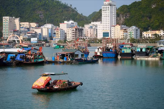 Đón dự án nghìn tỷ, Cát Bà xây giấc mơ đảo ngọc xanh