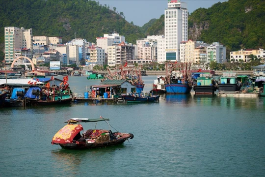 Đón dự án nghìn tỷ, Cát Bà xây giấc mơ đảo ngọc xanh