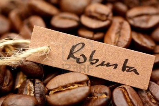 Việt Nam xuất khẩu cafe vối lớn nhất thế giới nhưng không có thương hiệu cụ thể - (Ảnh minh họa).