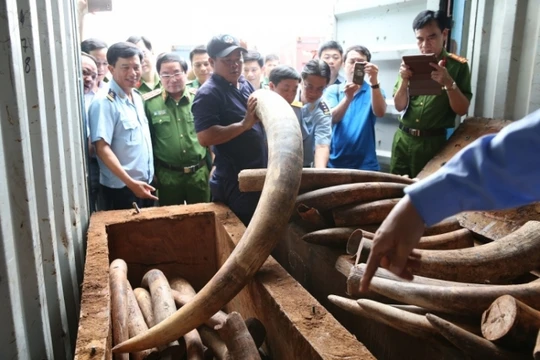 Ảnh minh họa. Nguồn Internet