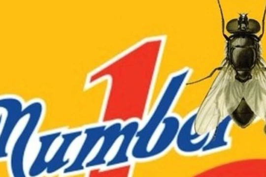 Vụ con ruồi 500 triệu tòa án Y án Võ Văn Minh 7 năm tù- Ảnh minh họa).