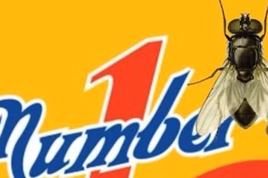 Vụ con ruồi 500 triệu tòa án Y án Võ Văn Minh 7 năm tù- Ảnh minh họa).