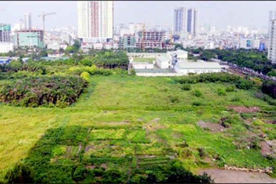 Ảnh minh họa. Nguồn Internet