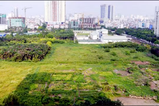 Ảnh minh họa. Nguồn Internet