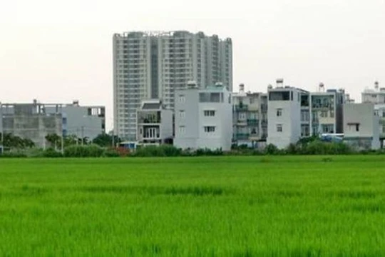 Tổng diện tích đất TP HCM phải thu hồi vào khoảng 7.000ha trong năm 2017.