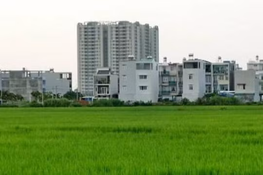 Tổng diện tích đất TP HCM phải thu hồi vào khoảng 7.000ha trong năm 2017.