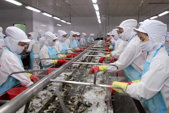 Xuất khẩu tôm cả năm ước đạt hơn 3 tỷ USD - (Ảnh minh họa)
