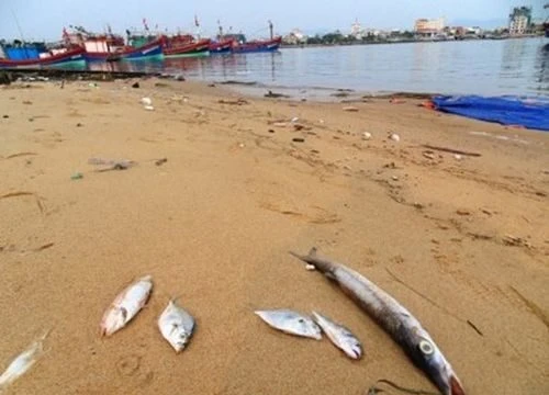 Tổng số tiền bồi thường thiệt hại môi trường tại huyện Lộc Hà, Hà Tĩnh là 207 tỷ đồng.