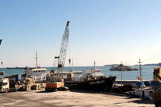 Ảnh minh họa. Nguồn Internet