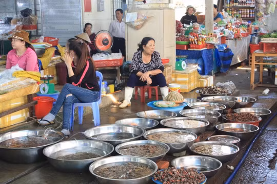 52% số quầy bán hải sản tại chợ Đông Hà đã phải đóng cửa vì sự cố môi trường biển