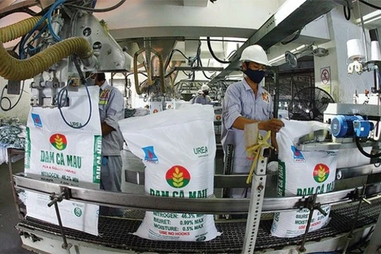 Đạm Cà Mau đang là thương hiệu số 1 ĐBSCL