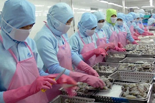 Từ 1/10 tới, việc cấp chứng thư theo NSW cho thủy sản sẽ được mở rộng trên phạm vi cả nước - (Ảnh minh họa)