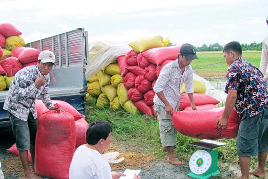 Ảnh minh họa. Nguồn: Internert
