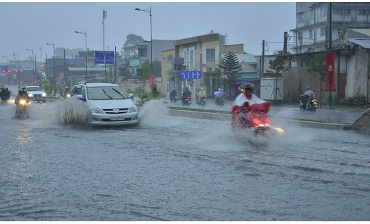 TP. HCM tự chọn nhà thầu trong Dự án giải quyết ngập do triều.