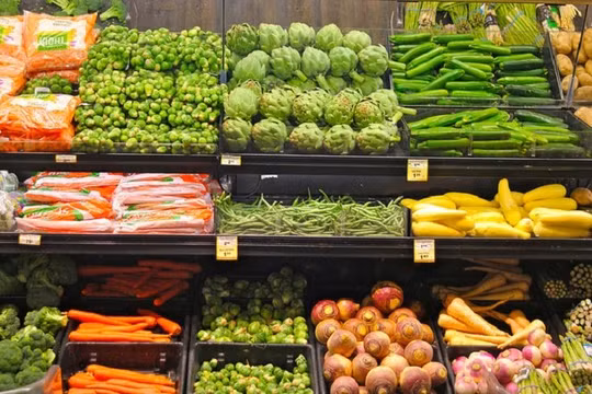 Xuất khẩu nông sản có nhiều tín hiệu khả quan