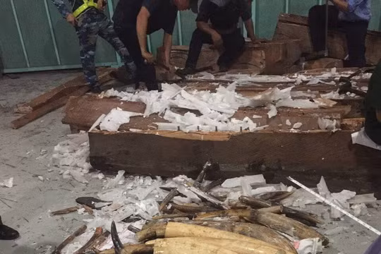 Tang vật vụ án - (Nguồn: Hải quan)