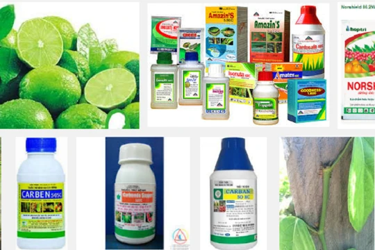 Cục Bảo vệ thực vật đang tiến hành rà soát toàn bộ lượng thuốc bảo vệ thực vật nhập khẩu trong 5 năm gần đây- (Ảnh minh họa).