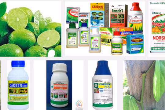 Cục Bảo vệ thực vật đang tiến hành rà soát toàn bộ lượng thuốc bảo vệ thực vật nhập khẩu trong 5 năm gần đây- (Ảnh minh họa).