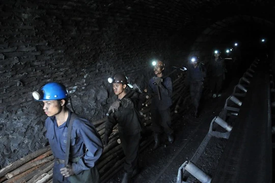 TKV dự tính cắt giảm 4.000 nhân sự